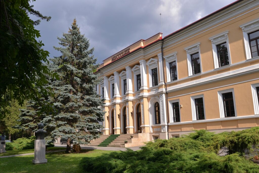 NIC_9571